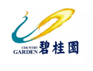 文成碧桂园地产